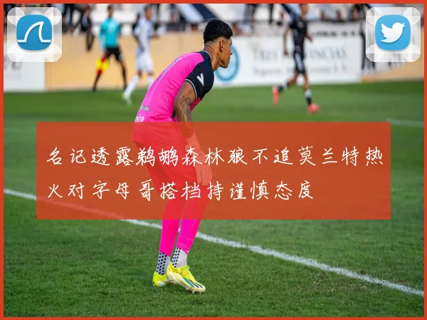 名记透露鹈鹕森林狼不追莫兰特热火对字母哥搭档持谨慎态度